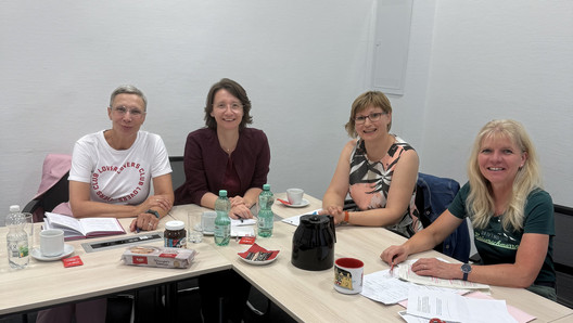 Gleichstellungsgesetz Sachsen-Anhalt, dbb frauenvertretung