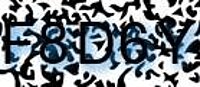 grafischer Sicherheitscode