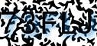 grafischer Sicherheitscode