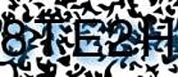 grafischer Sicherheitscode